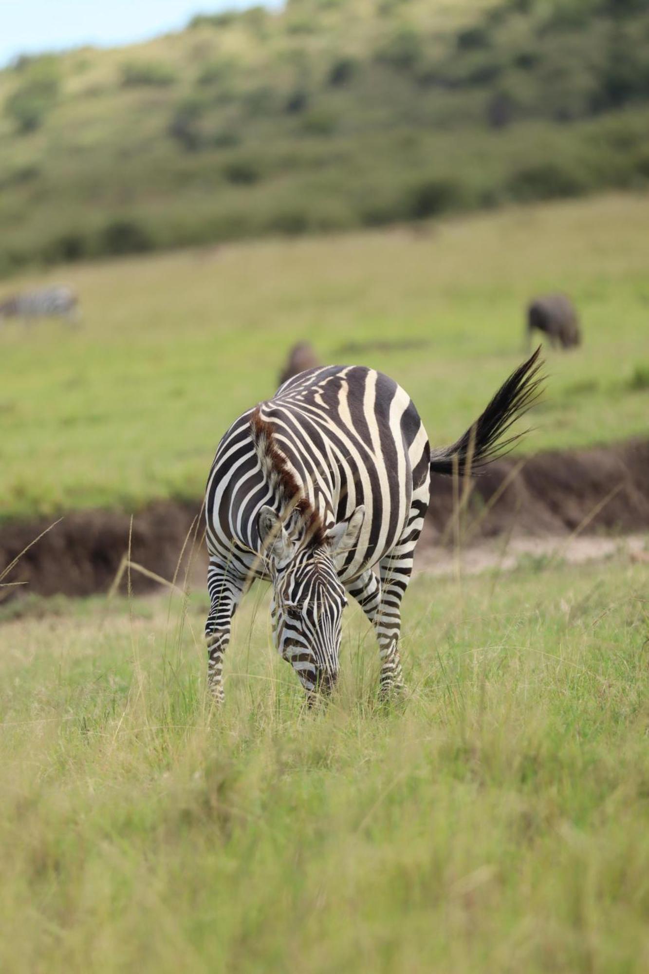 Ilkerin Camp Maasai Mara Bed & Breakfast Sekenani Exterior foto